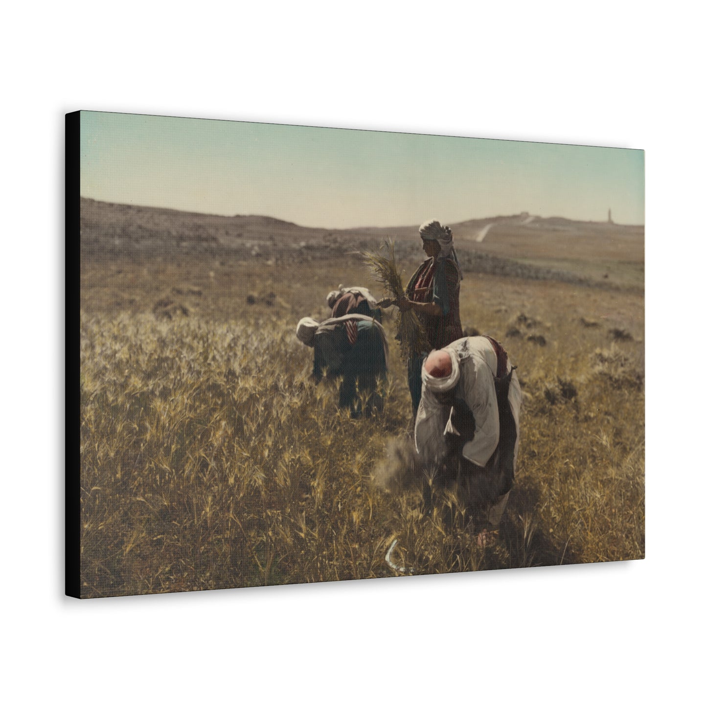 Workers reaping barley harvest 1919 - Painting