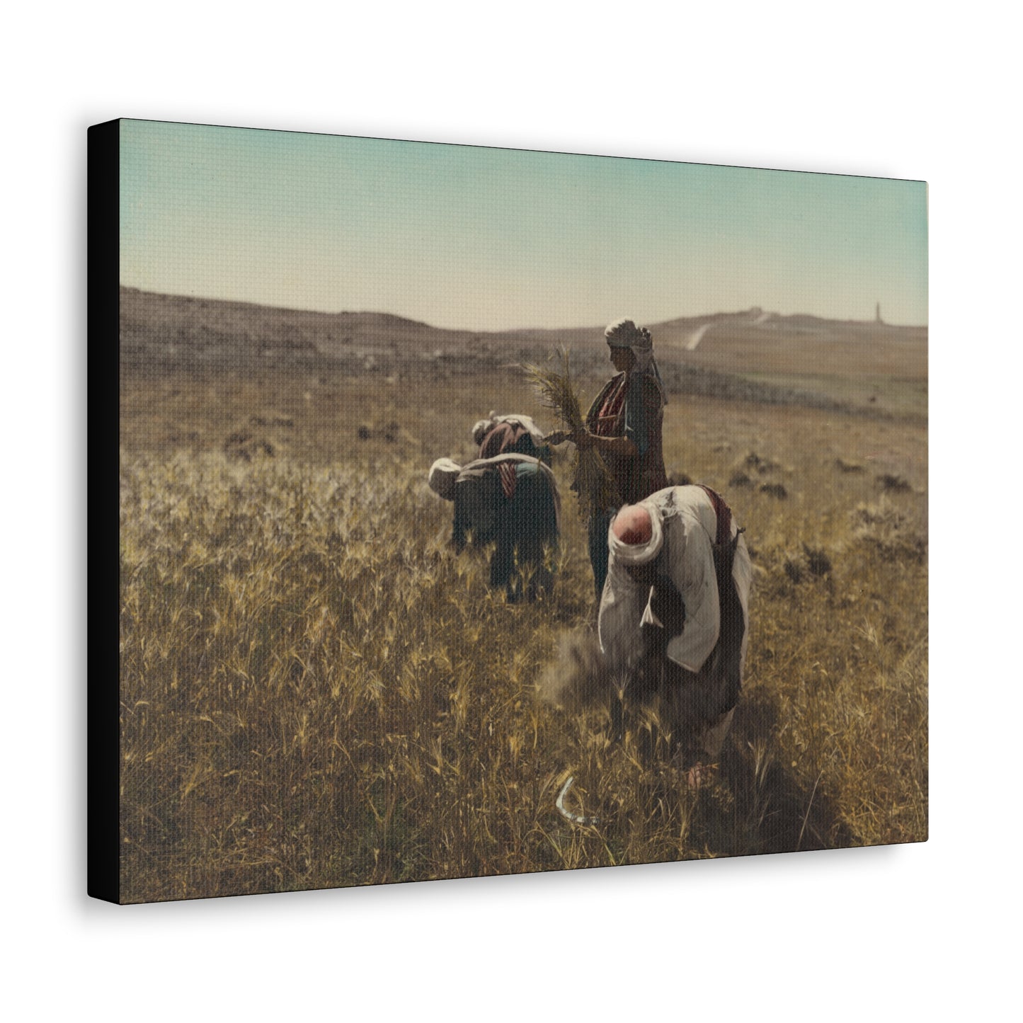 Workers reaping barley harvest 1919 - Painting