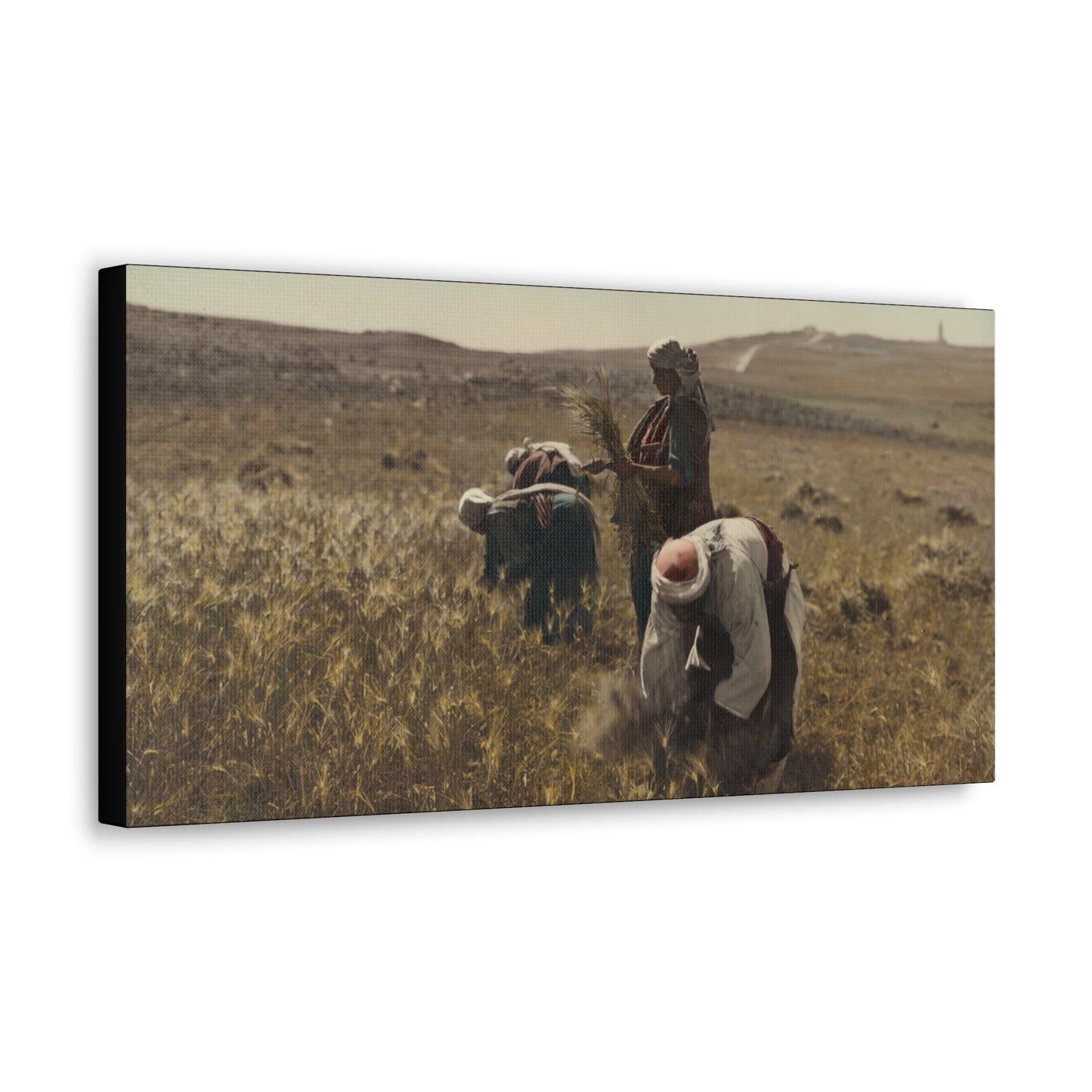 Workers reaping barley harvest 1919 - Painting