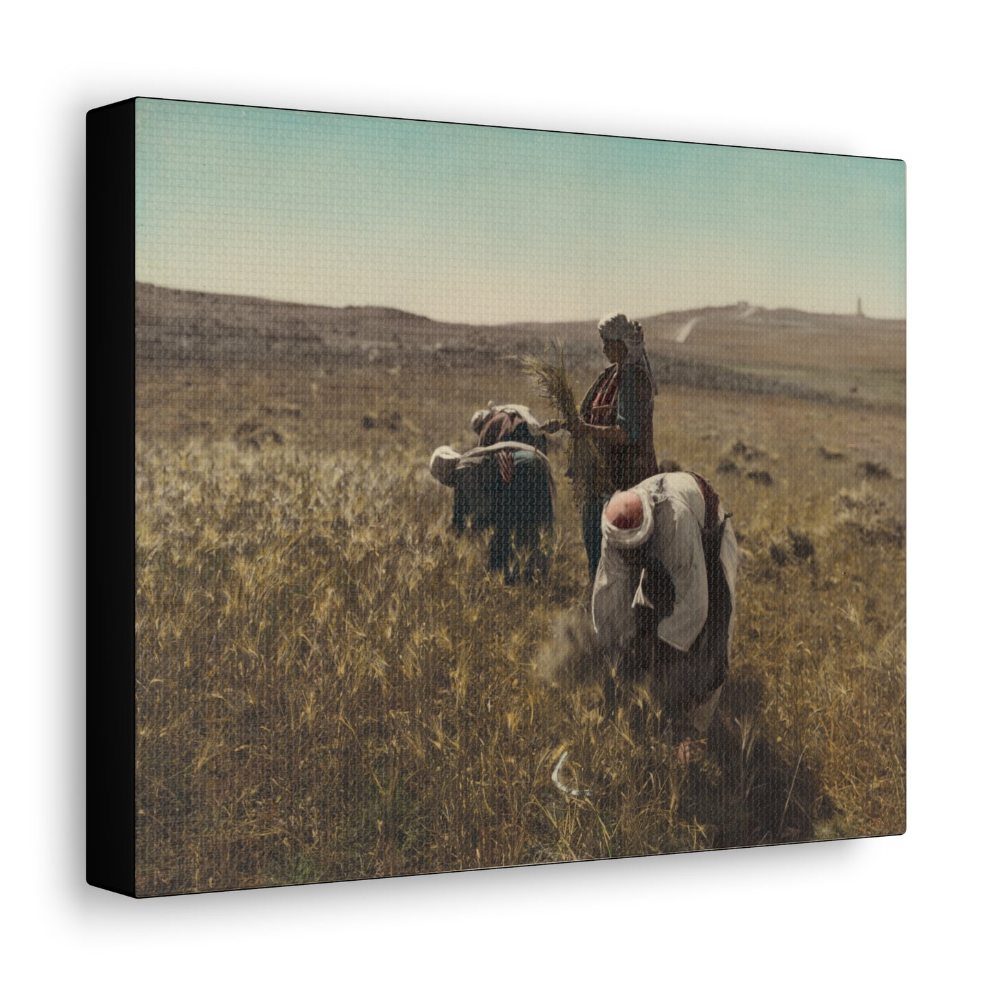 Workers reaping barley harvest 1919 - Painting