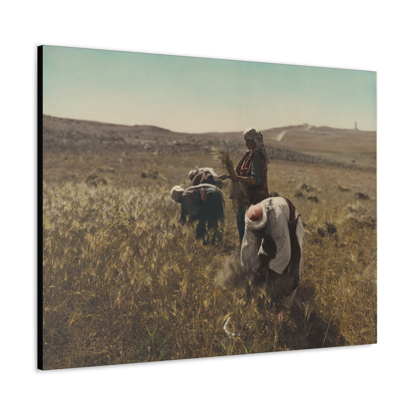 Workers reaping barley harvest 1919 - Painting
