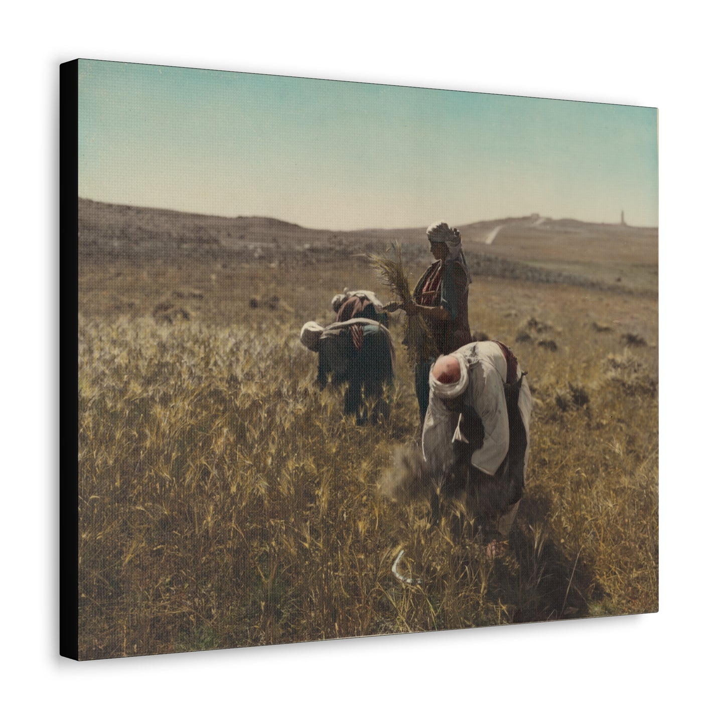 Workers reaping barley harvest 1919 - Painting