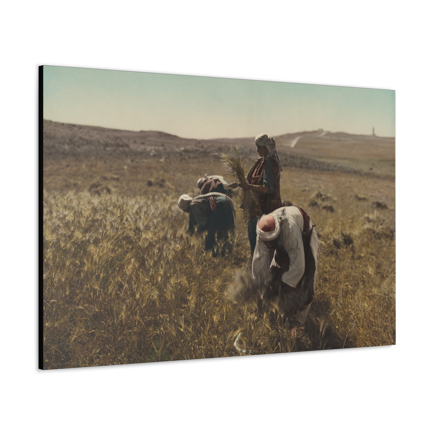 Workers reaping barley harvest 1919 - Painting