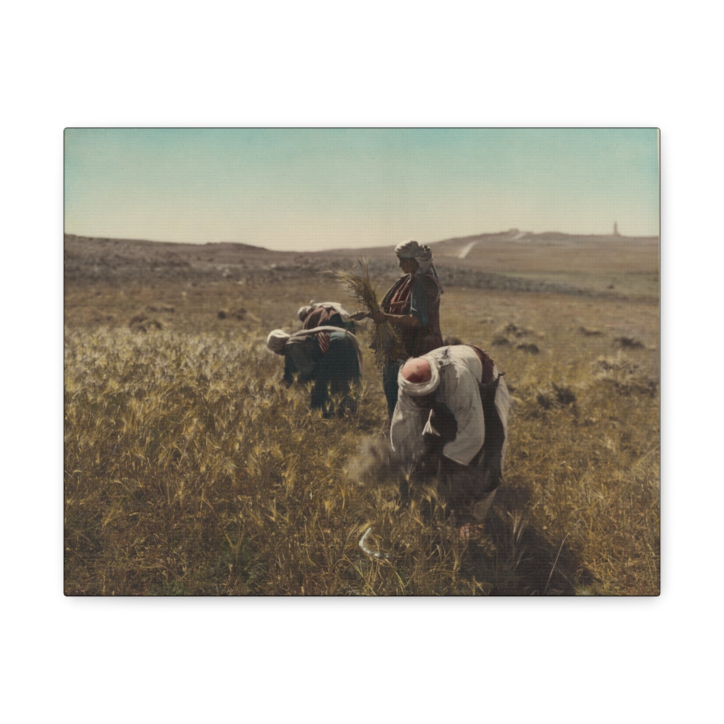 Workers reaping barley harvest 1919 - Painting