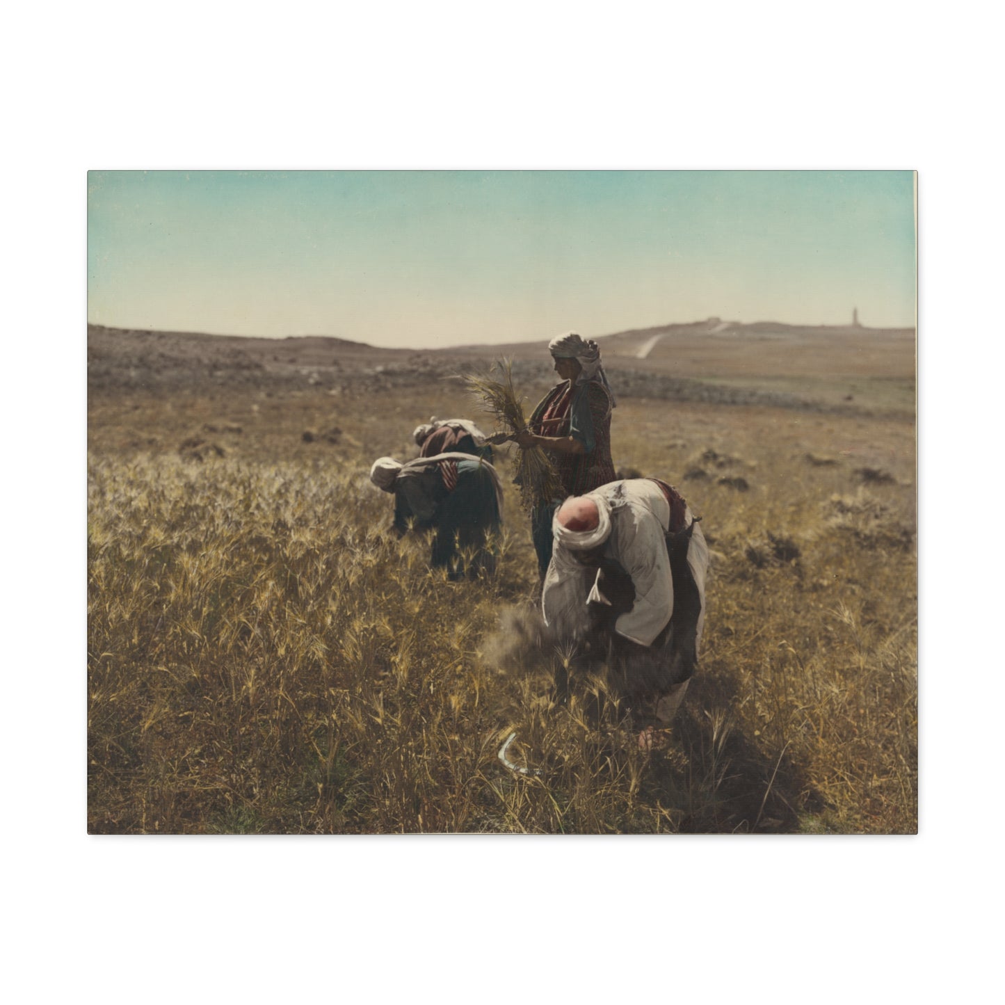 Workers reaping barley harvest 1919 - Painting