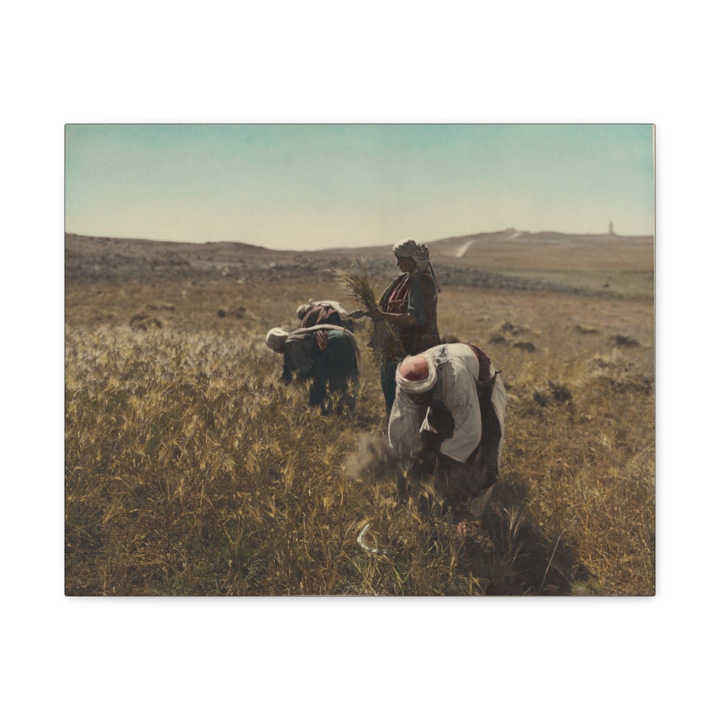 Workers reaping barley harvest 1919 - Painting