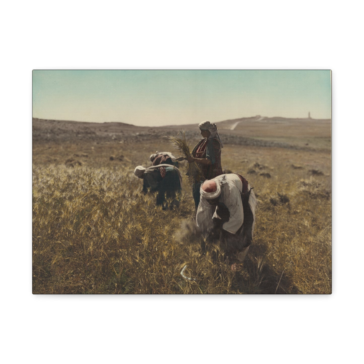 Workers reaping barley harvest 1919 - Painting