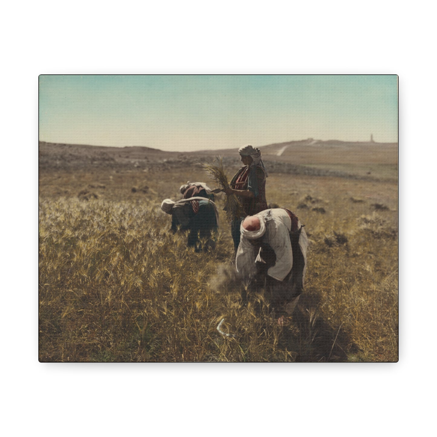 Workers reaping barley harvest 1919 - Painting