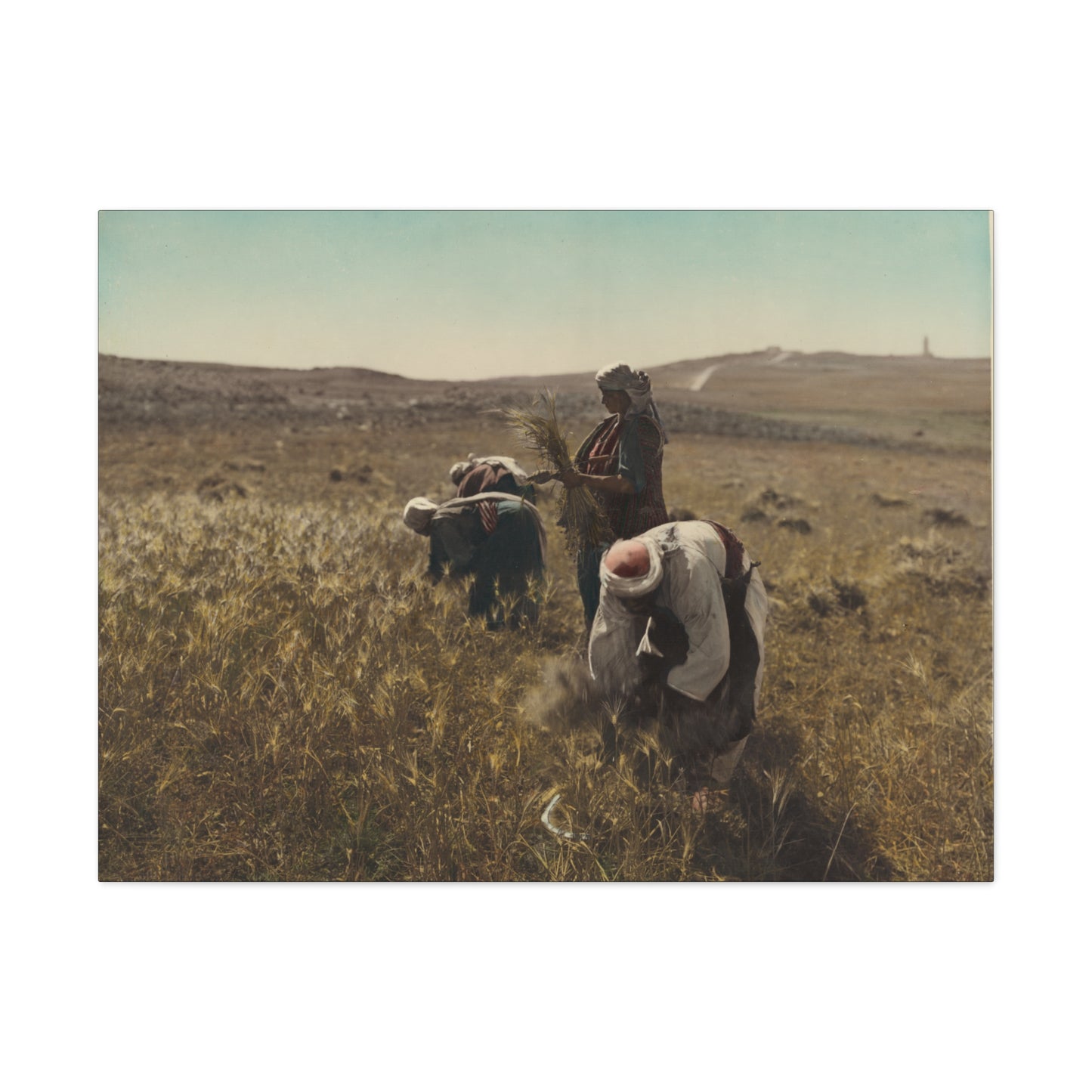 Workers reaping barley harvest 1919 - Painting