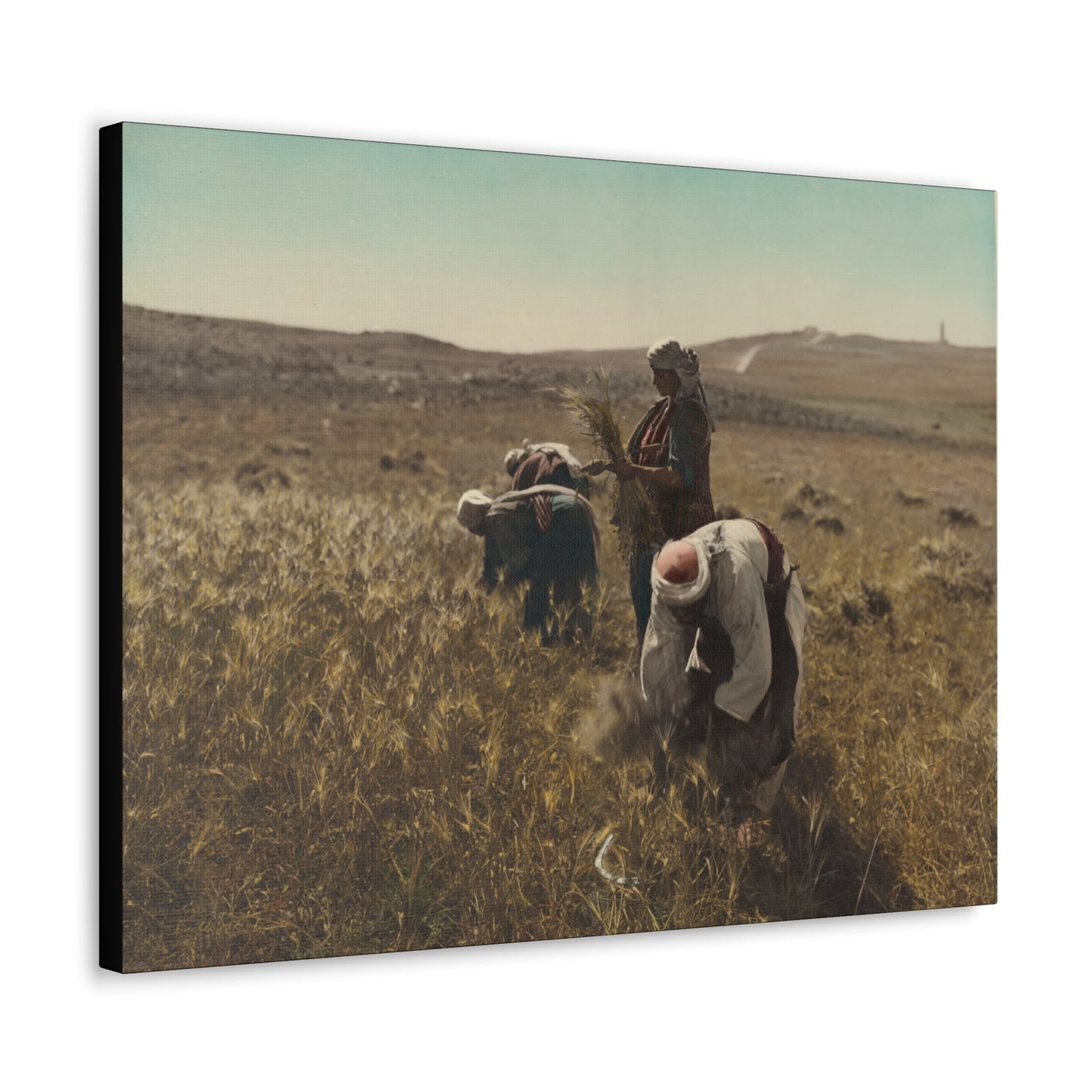 Workers reaping barley harvest 1919 - Painting