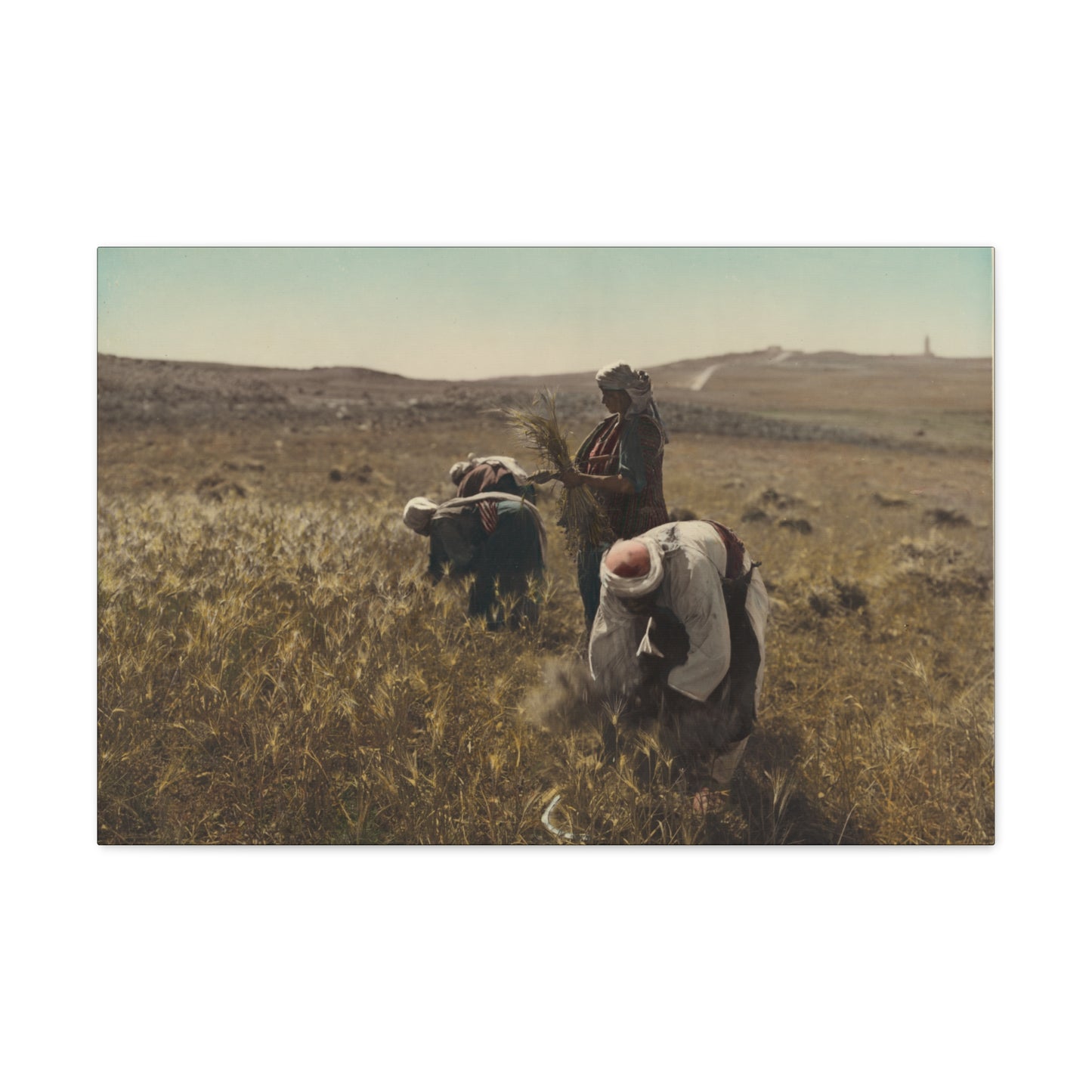 Workers reaping barley harvest 1919 - Painting