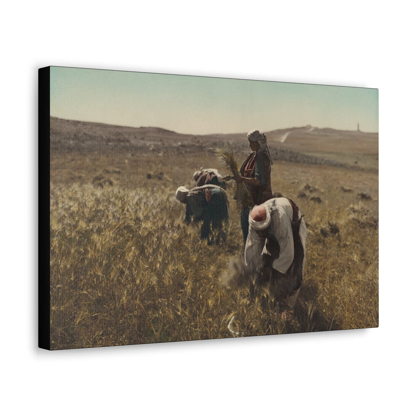 Workers reaping barley harvest 1919 - Painting
