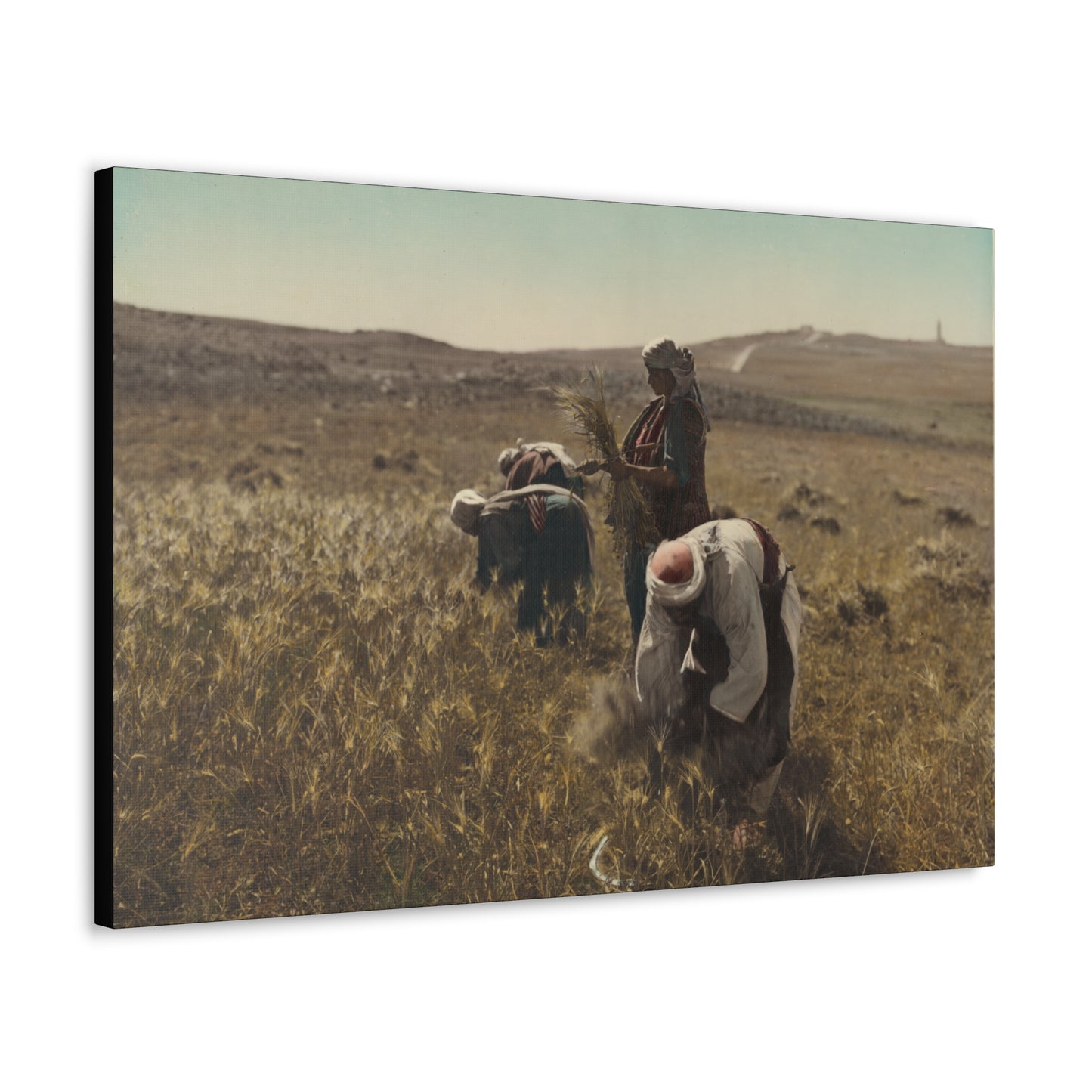 Workers reaping barley harvest 1919 - Painting