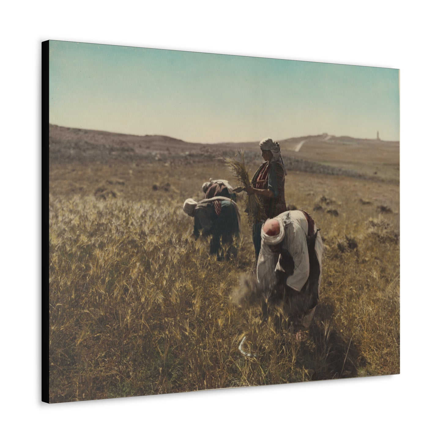 Workers reaping barley harvest 1919 - Painting