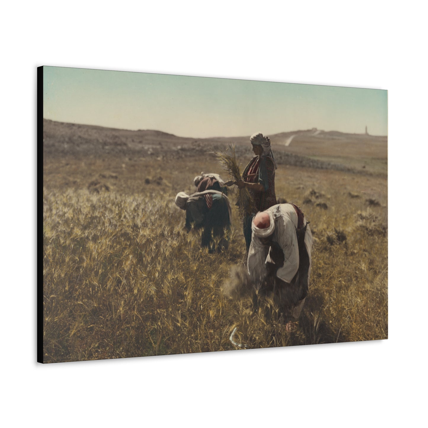 Workers reaping barley harvest 1919 - Painting