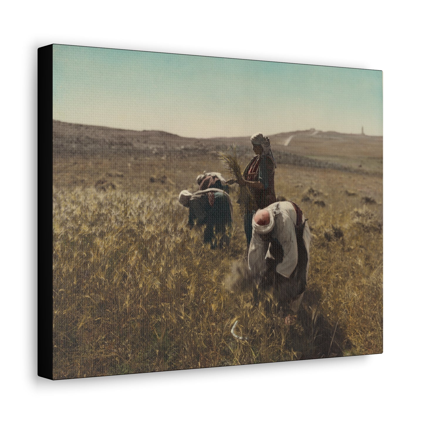 Workers reaping barley harvest 1919 - Painting