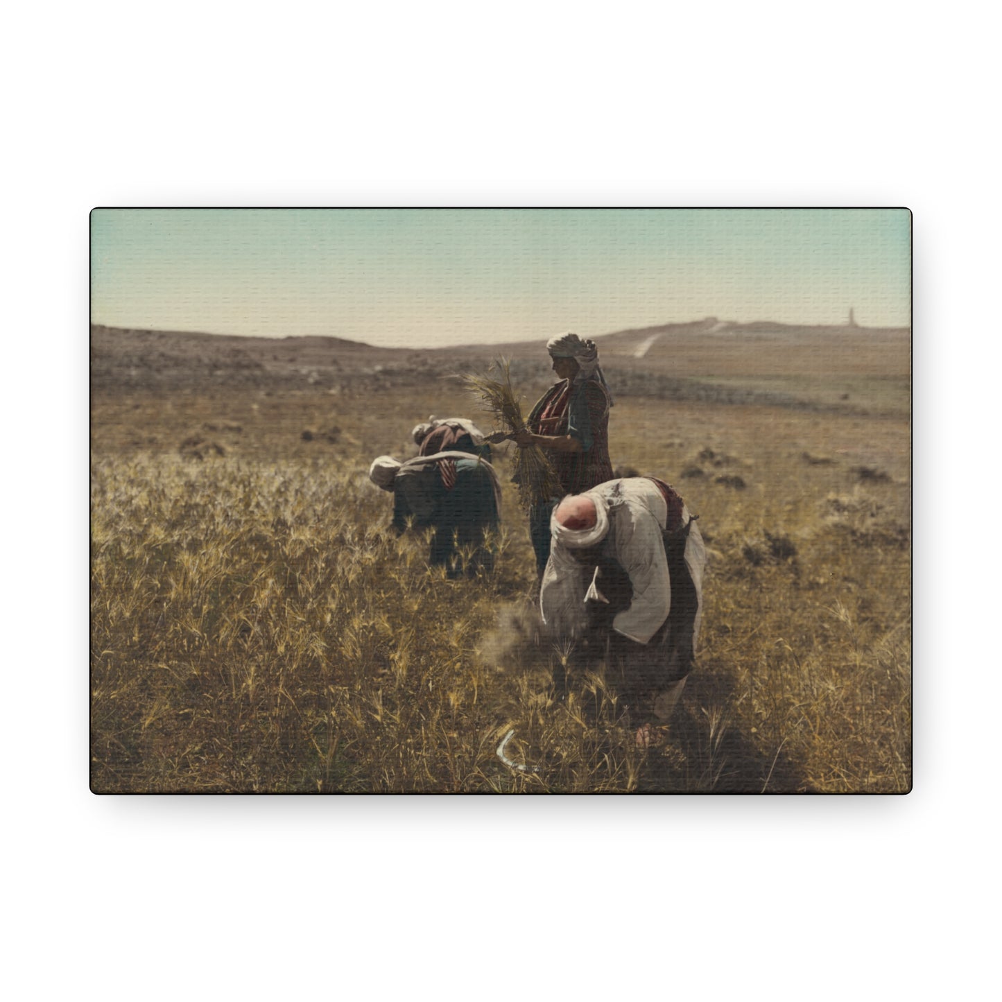 Workers reaping barley harvest 1919 - Painting