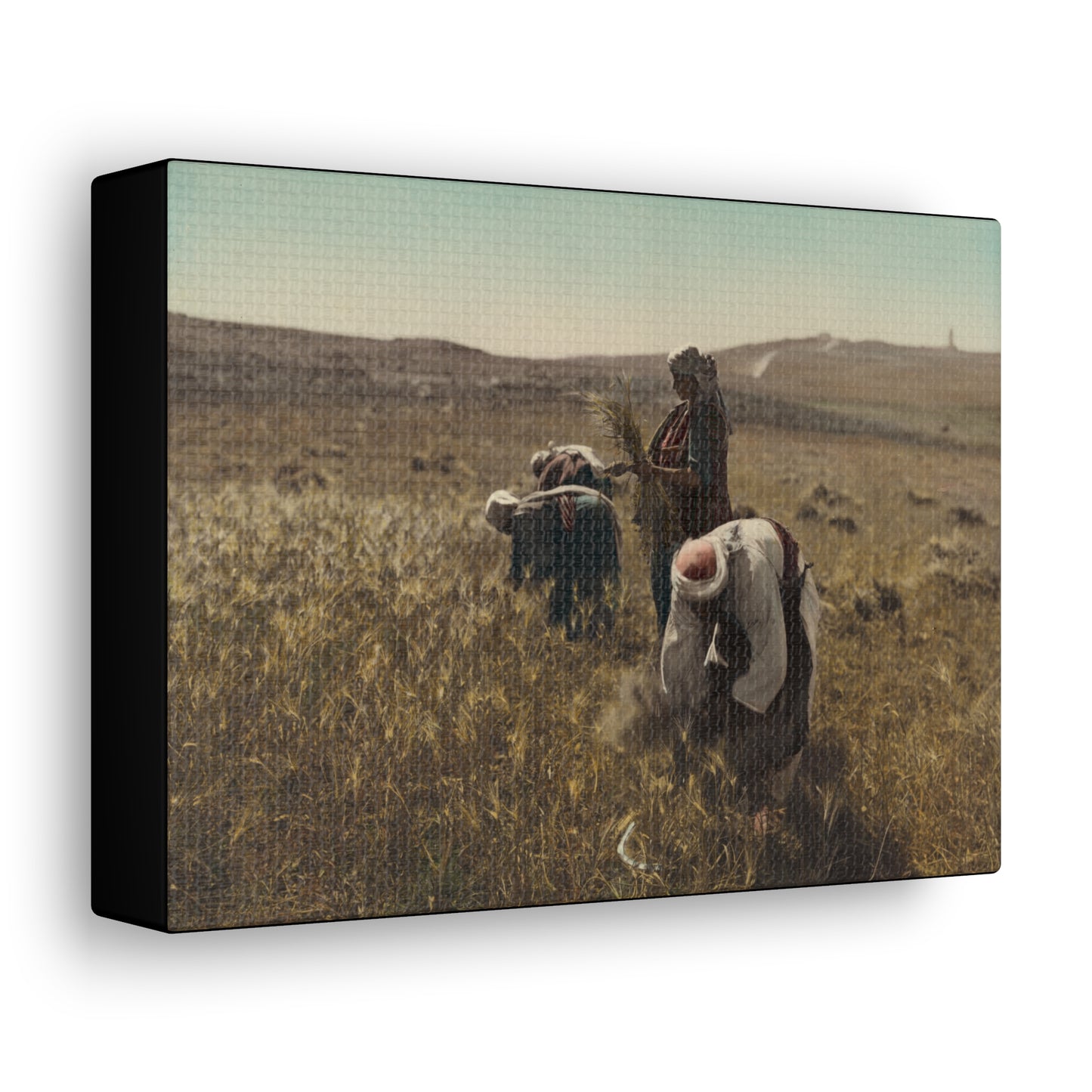 Workers reaping barley harvest 1919 - Painting